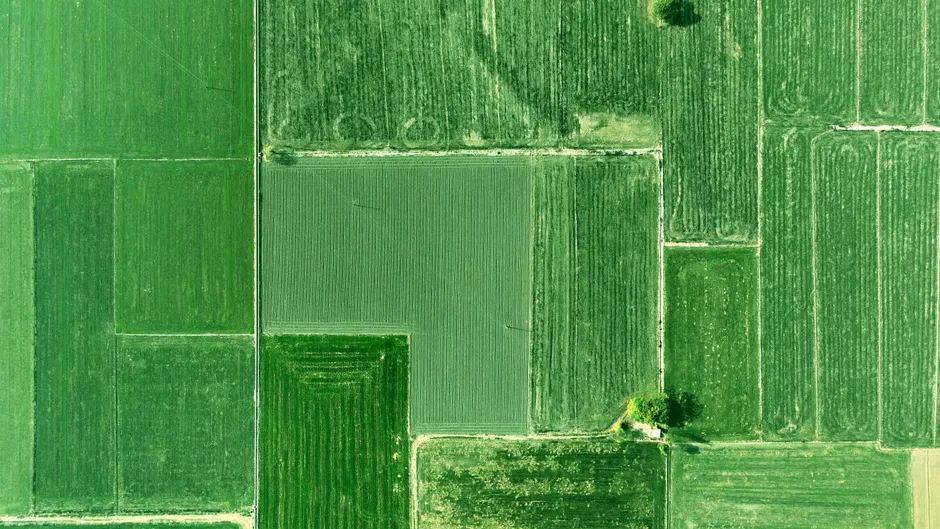 Detail Aerial View Of Fields Number 9