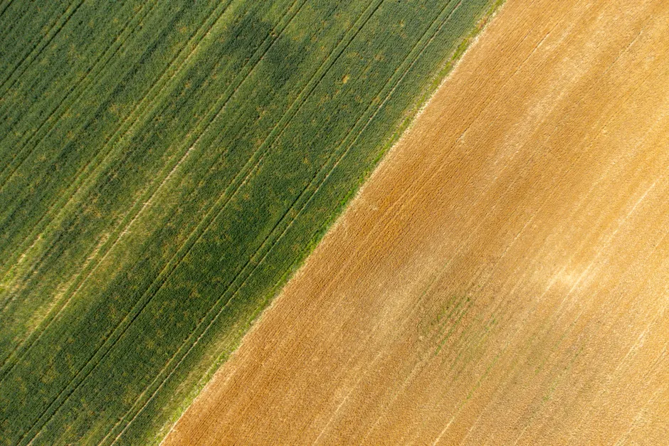 Detail Aerial View Of Fields Number 10