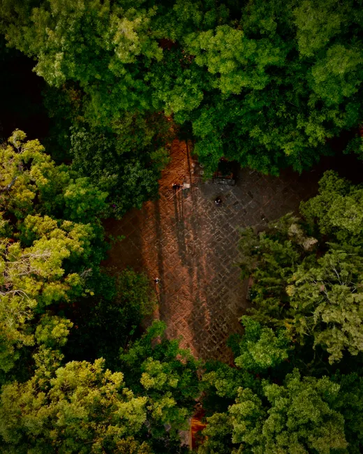 Detail Aerial View Of Forest Number 2
