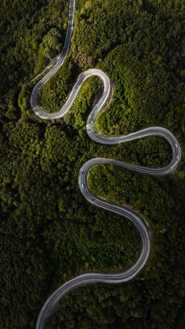 Detail Aerial View Of Forest Number 14