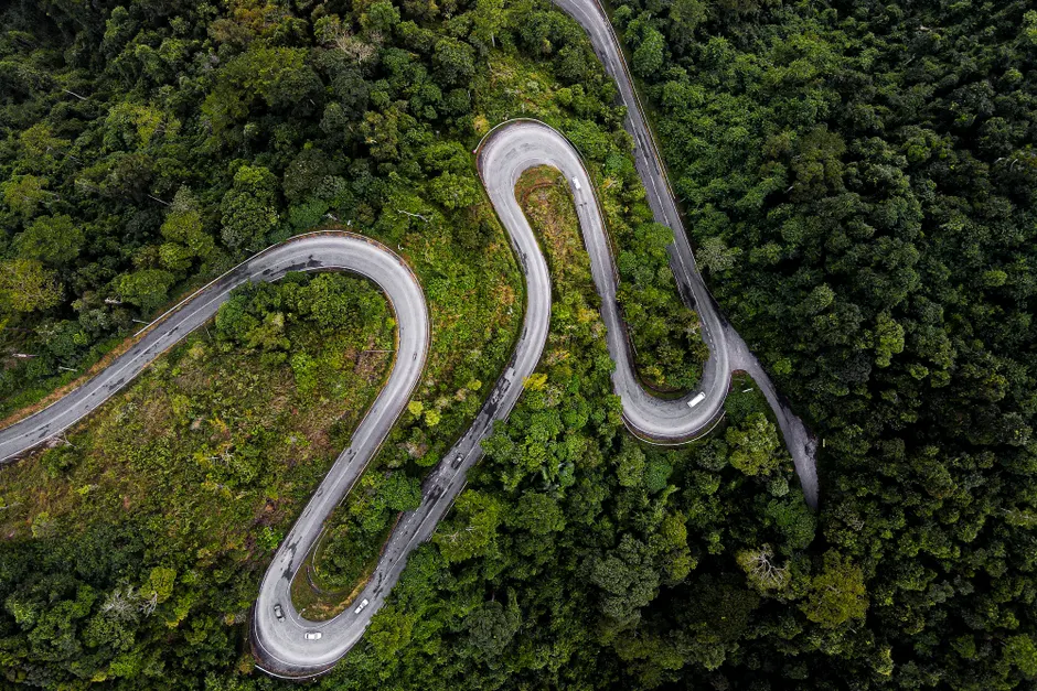 Detail Aerial View Of Forest Number 15