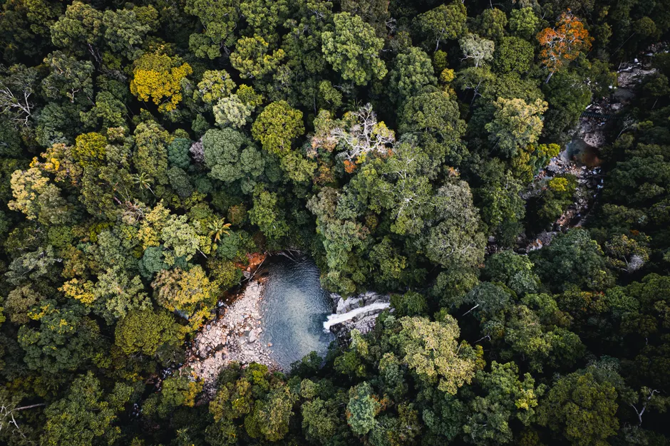 Detail Aerial View Of Forest Number 16