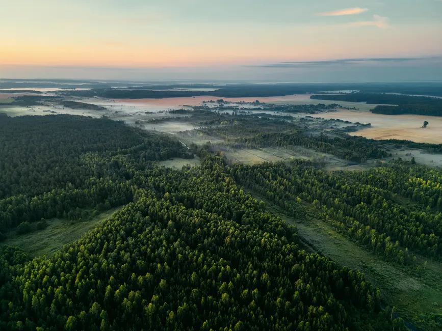 Detail Aerial View Of Forest Number 18