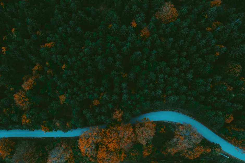 Detail Aerial View Of Forest Number 7