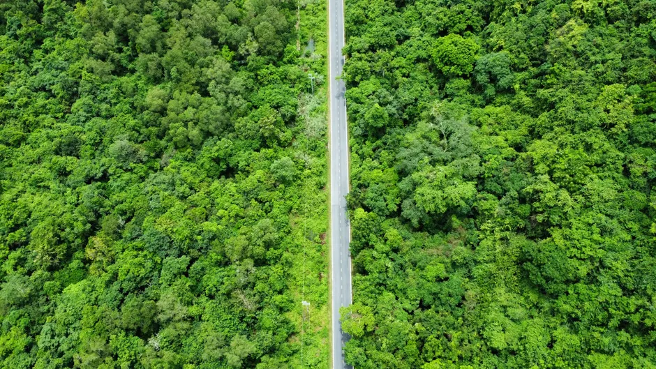 Detail Aerial View Of Forest Number 10
