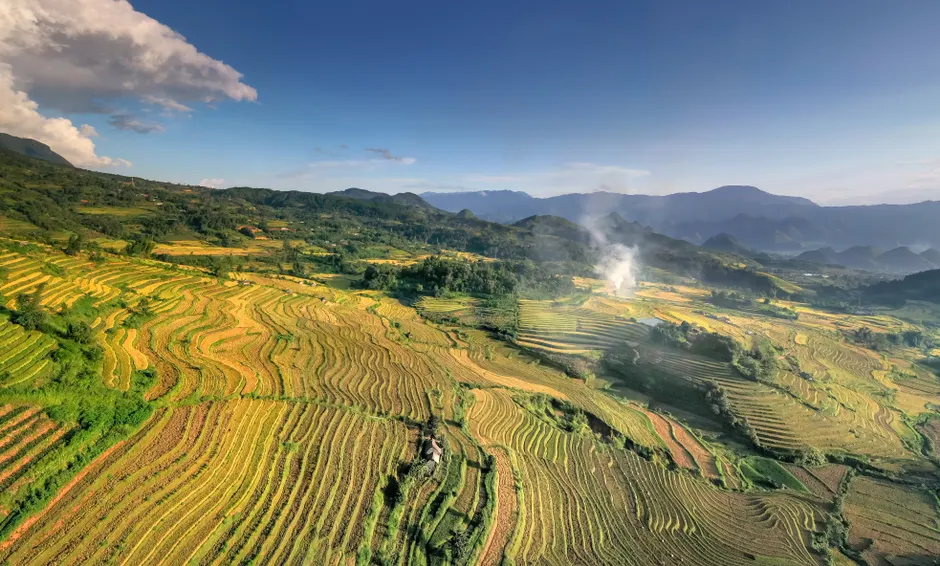 Aerial View Of Rice Terraces 38a6