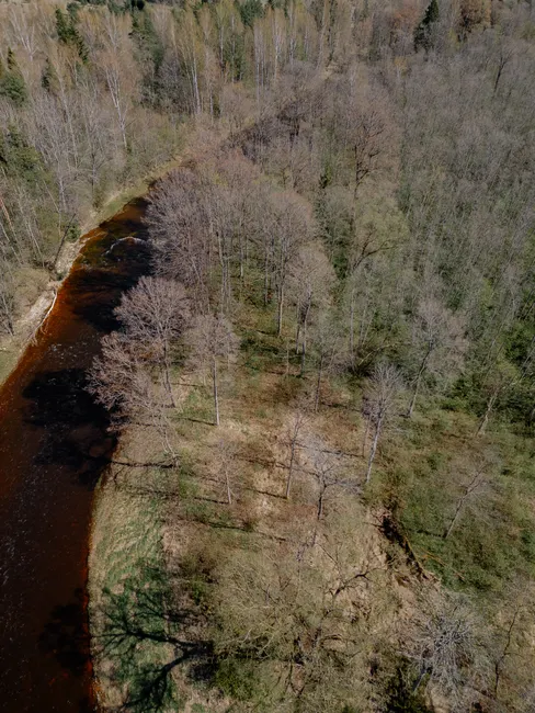 Detail Aerial View River Bend Number 13