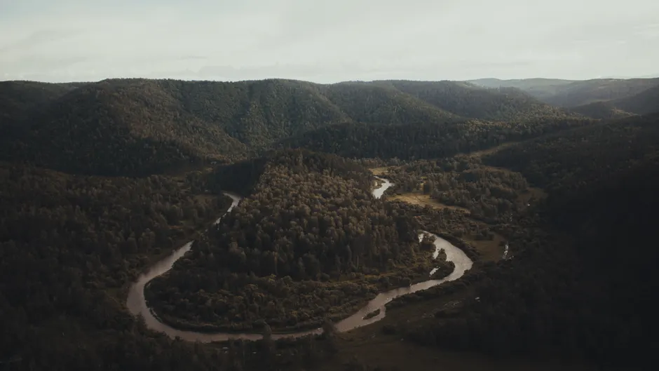 Detail Aerial View River Bend Number 18