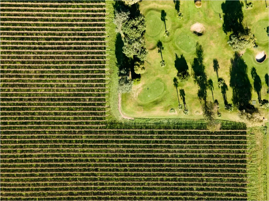 Detail Aerial Vineyards From Above Number 12