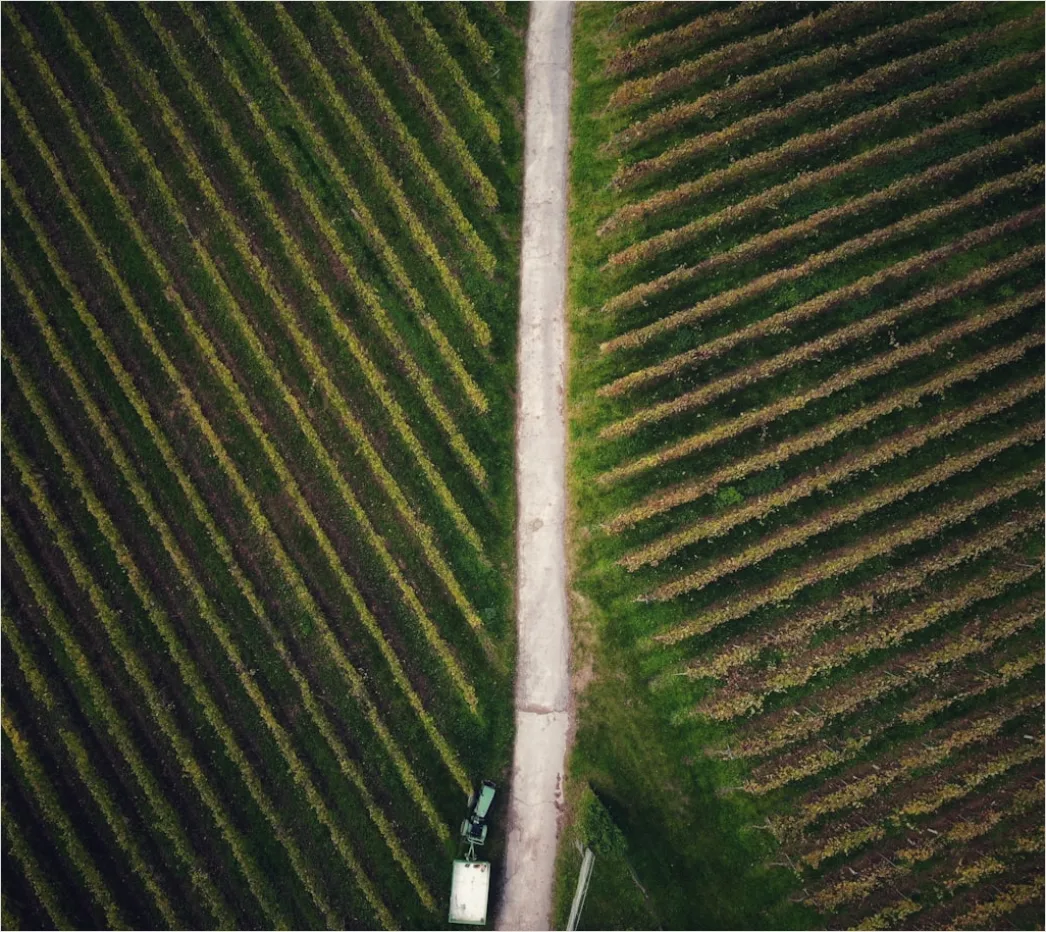 Detail Aerial Vineyards From Above Number 6