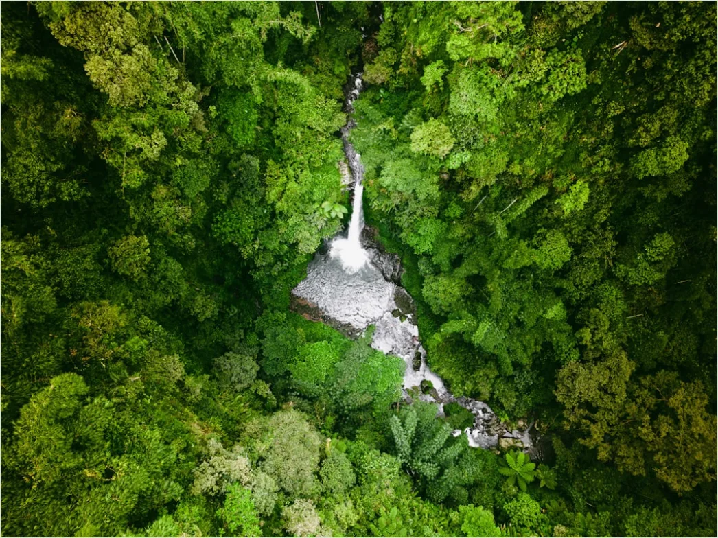 Detail Aerial Waterfall From Above Number 16