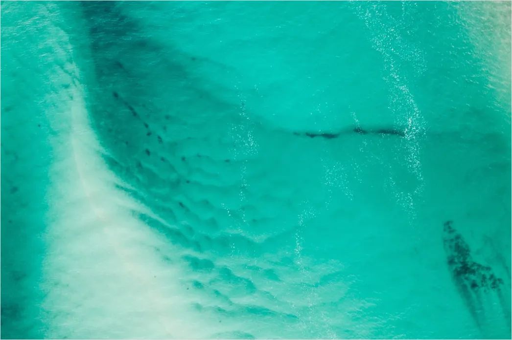 Detail Aerial Waves Abstract Pattern Number 14
