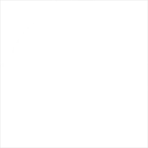 Detail Animal Icons Set Outline Number 13