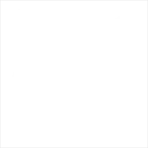 Detail Animal Icons Set Outline Number 14