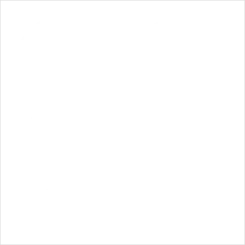 Detail Animal Icons Set Outline Number 9