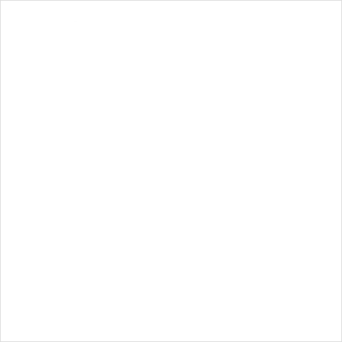 Detail Animal Icons Set Outline Number 10