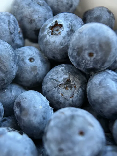 Blueberry Close Up 2a07