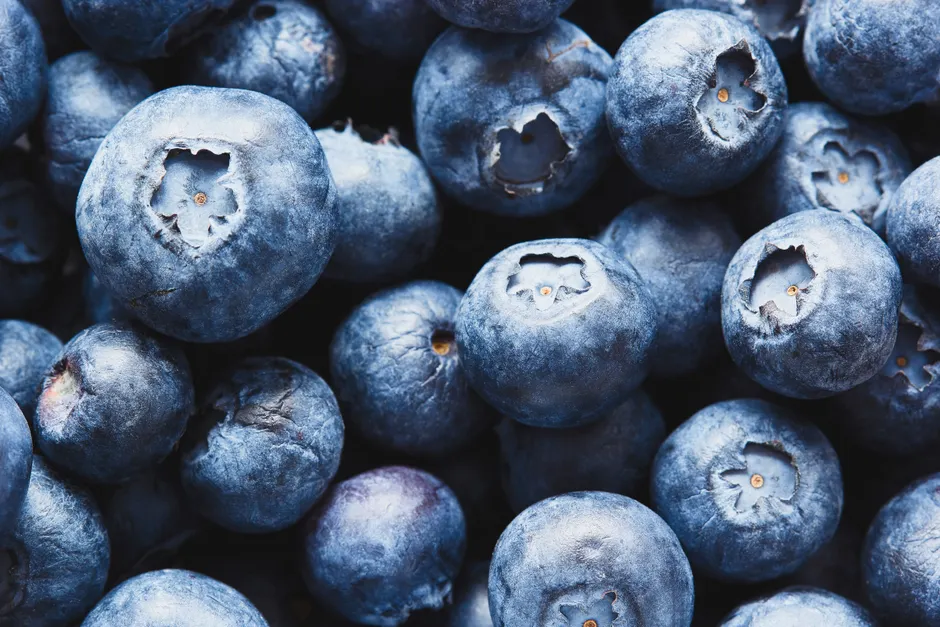 Detail Blueberry Close Up Number 11