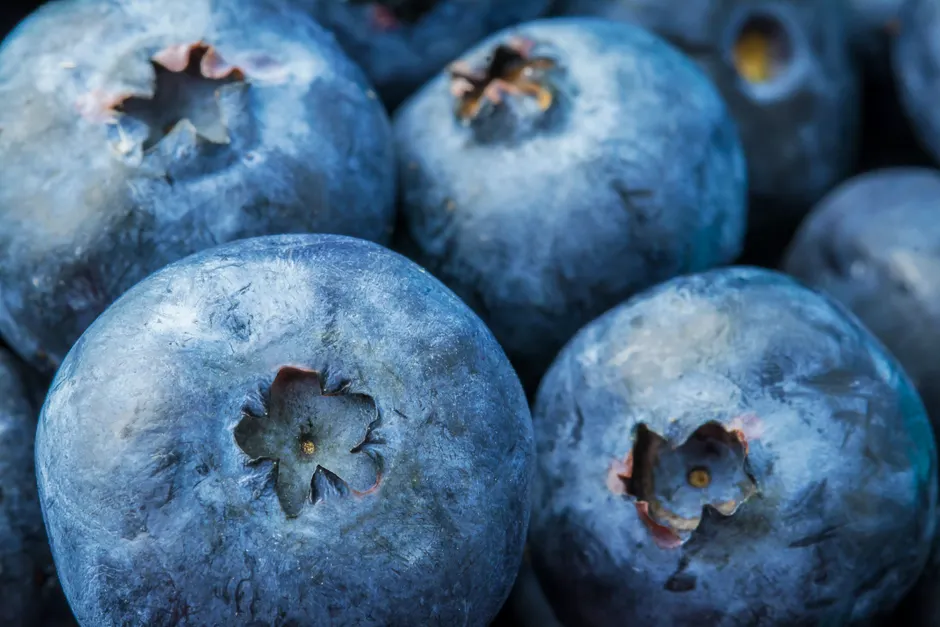 Detail Blueberry Close Up Number 12