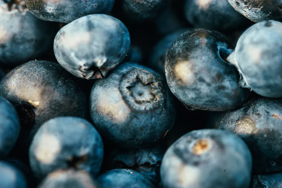 Detail Blueberry Close Up Number 15