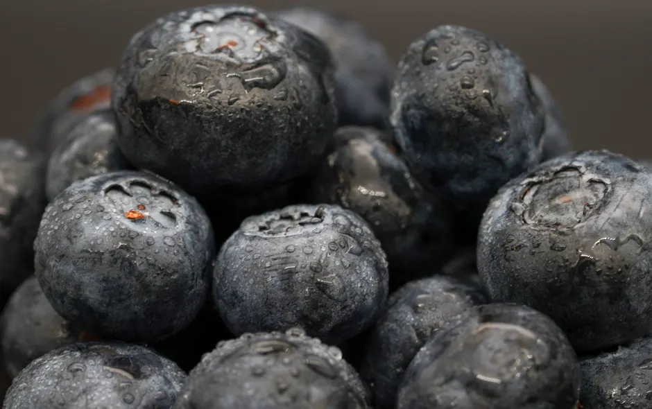 Detail Blueberry Close Up Number 3
