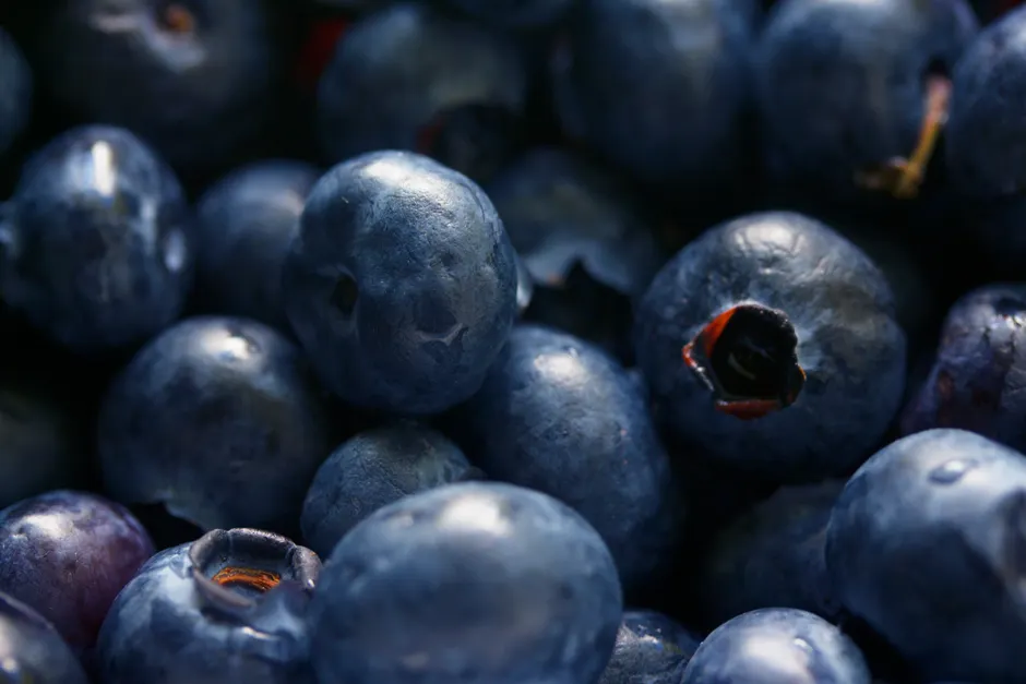 Detail Blueberry Close Up Number 5