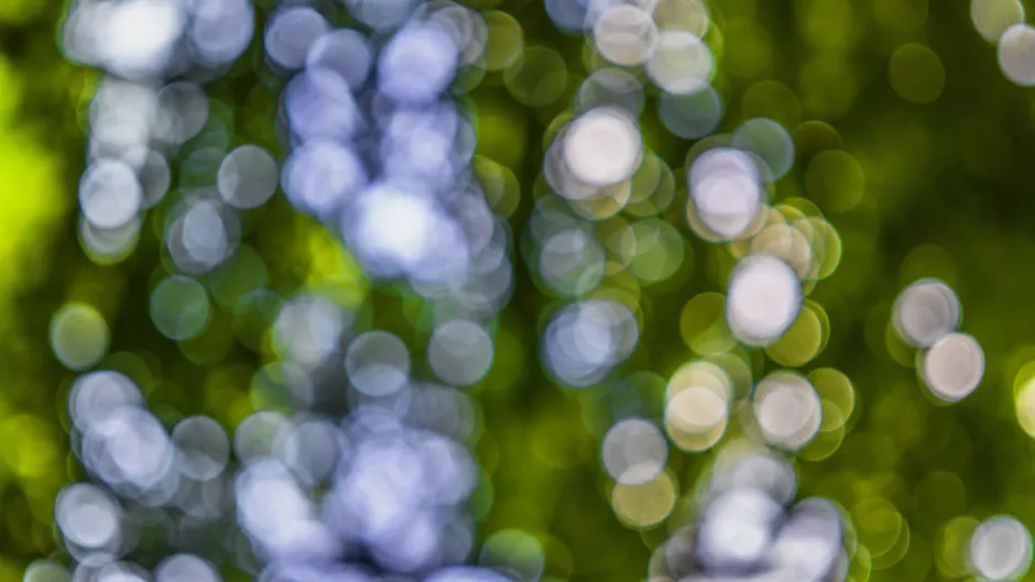 Detail Bokeh Background Number 8