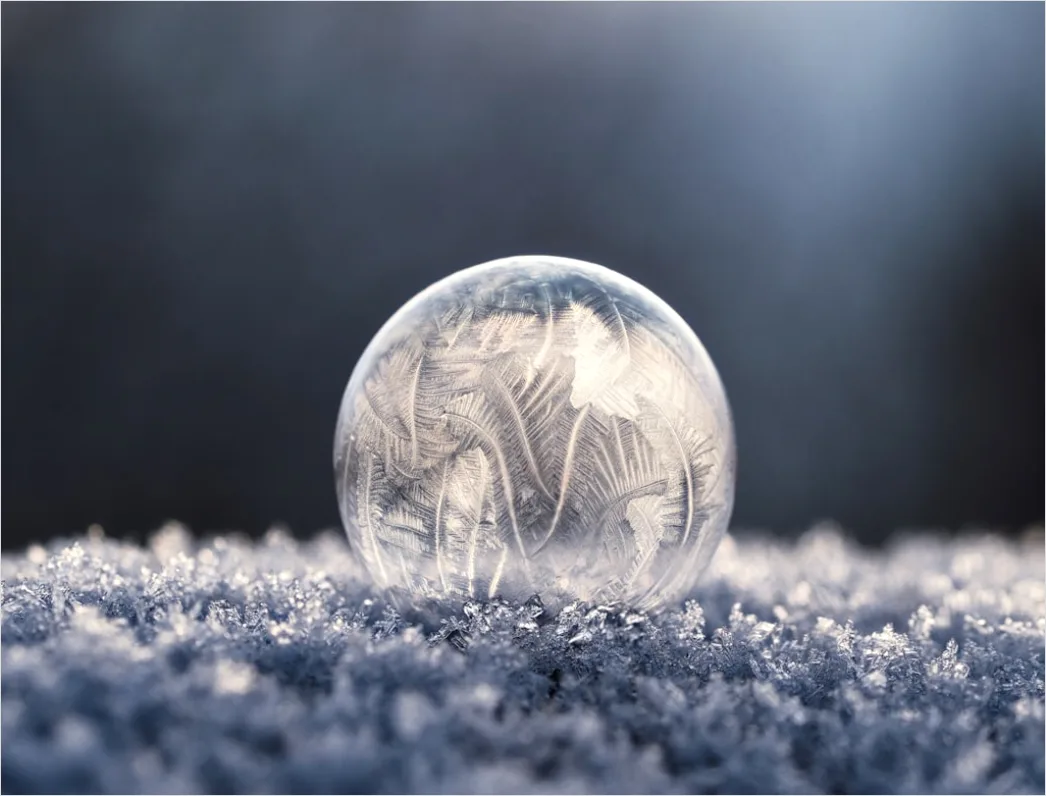 Detail Bubble Macro Number 5