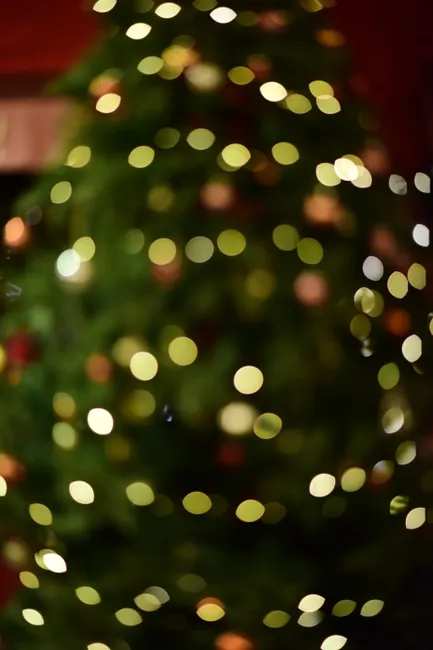 Detail Christmas Bokeh Lights Number 17