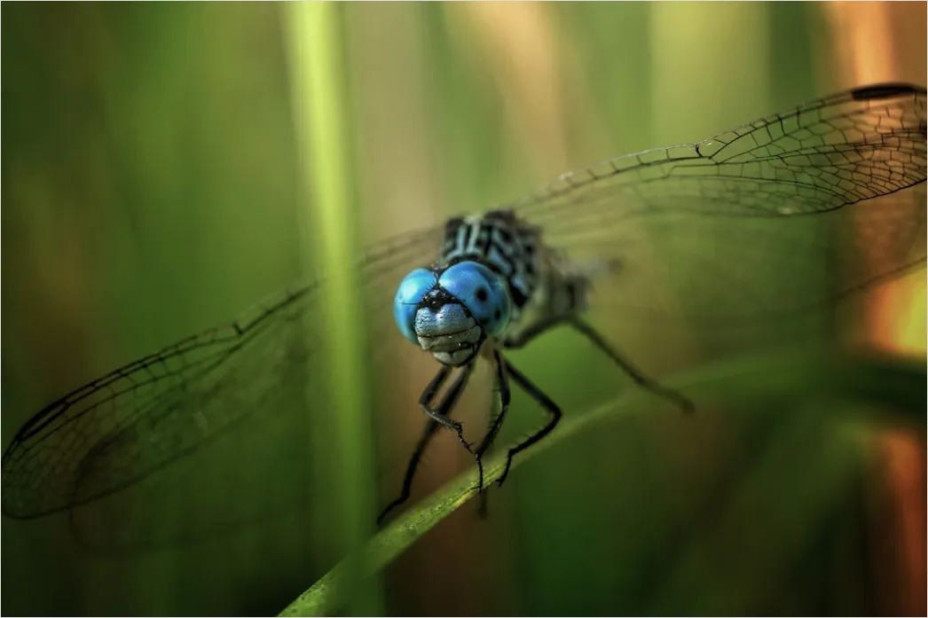 Detail Close Up Photography Number 17