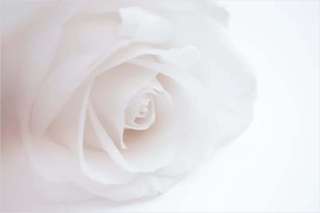 Detail Close Up Photography Number 20