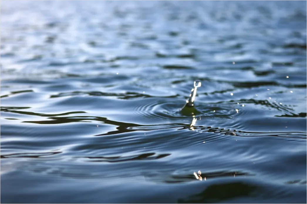 Detail Close Up Photography Number 3