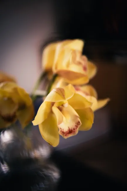 Detail Close Up Photography Of Flowers Number 7