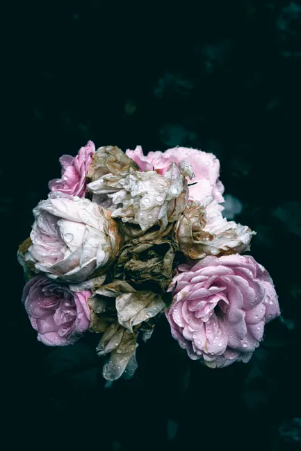 Detail Close Up Photography Of Flowers Number 10