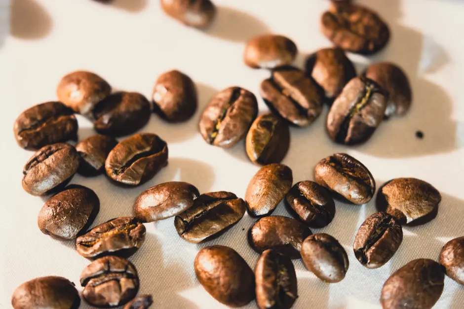 Coffee Beans Close Up 8639