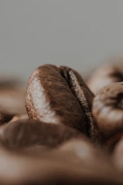 Detail Coffee Beans Close Up Number 11