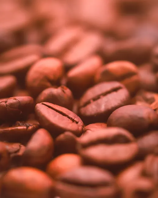 Detail Coffee Beans Close Up Number 20