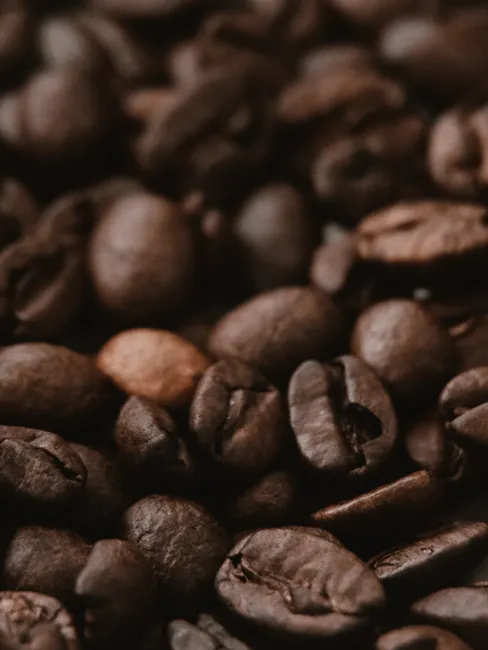 Detail Coffee Beans Close Up Number 5