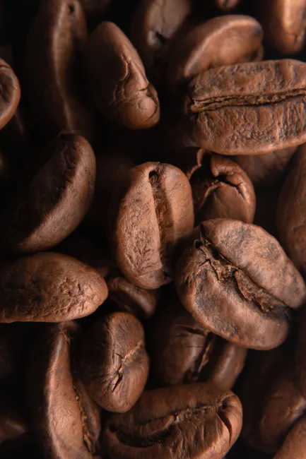 Detail Coffee Beans Close Up Number 6