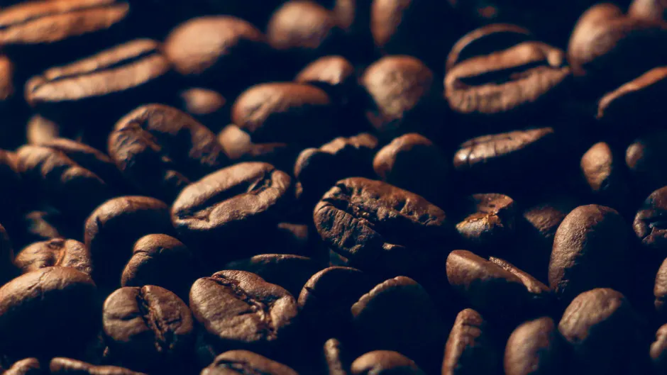Detail Coffee Beans Close Up Number 7