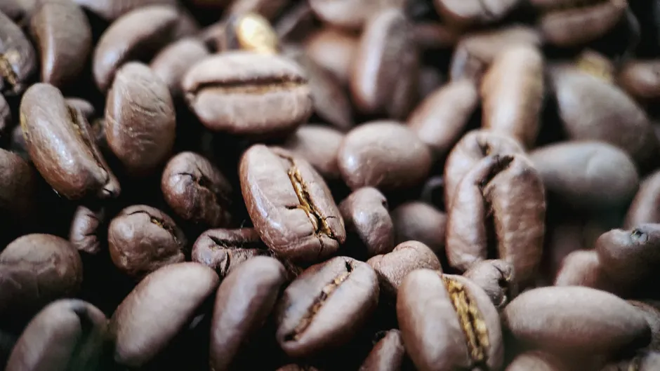 Detail Coffee Beans Close Up Number 9