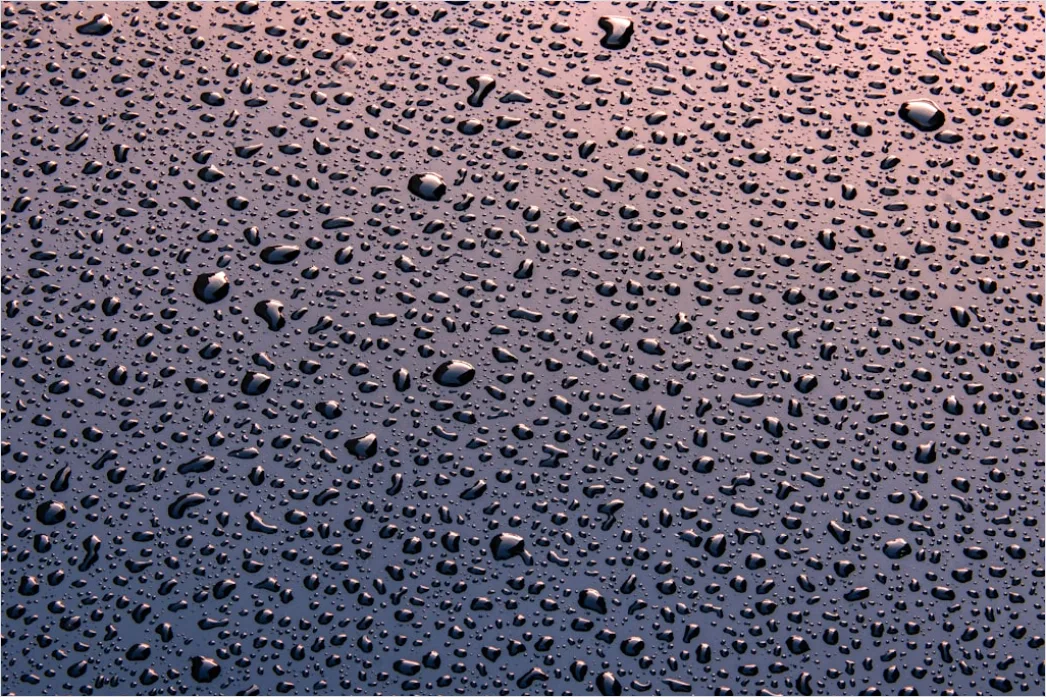 Detail Condensation Droplets Macro Number 2