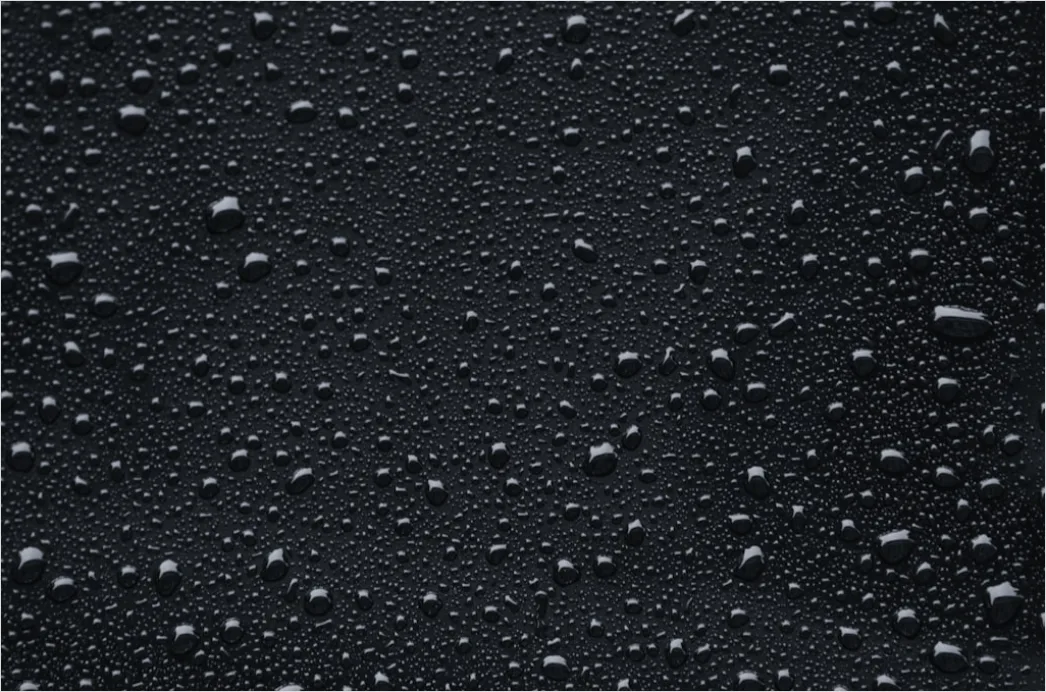 Detail Condensation Droplets Macro Number 11