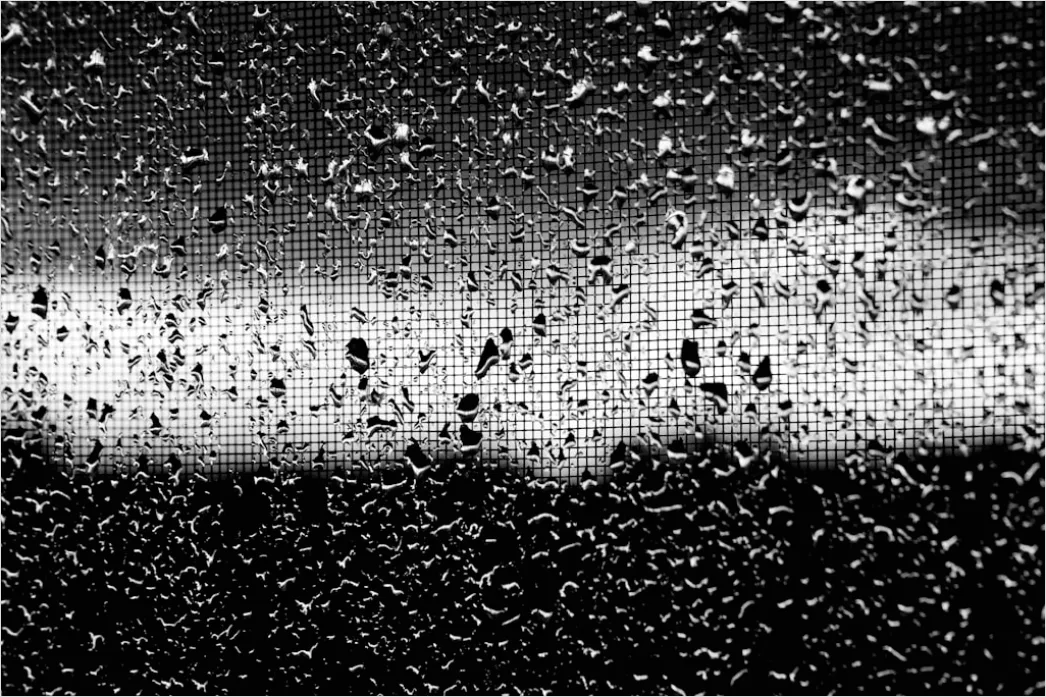 Detail Condensation Droplets Macro Number 12