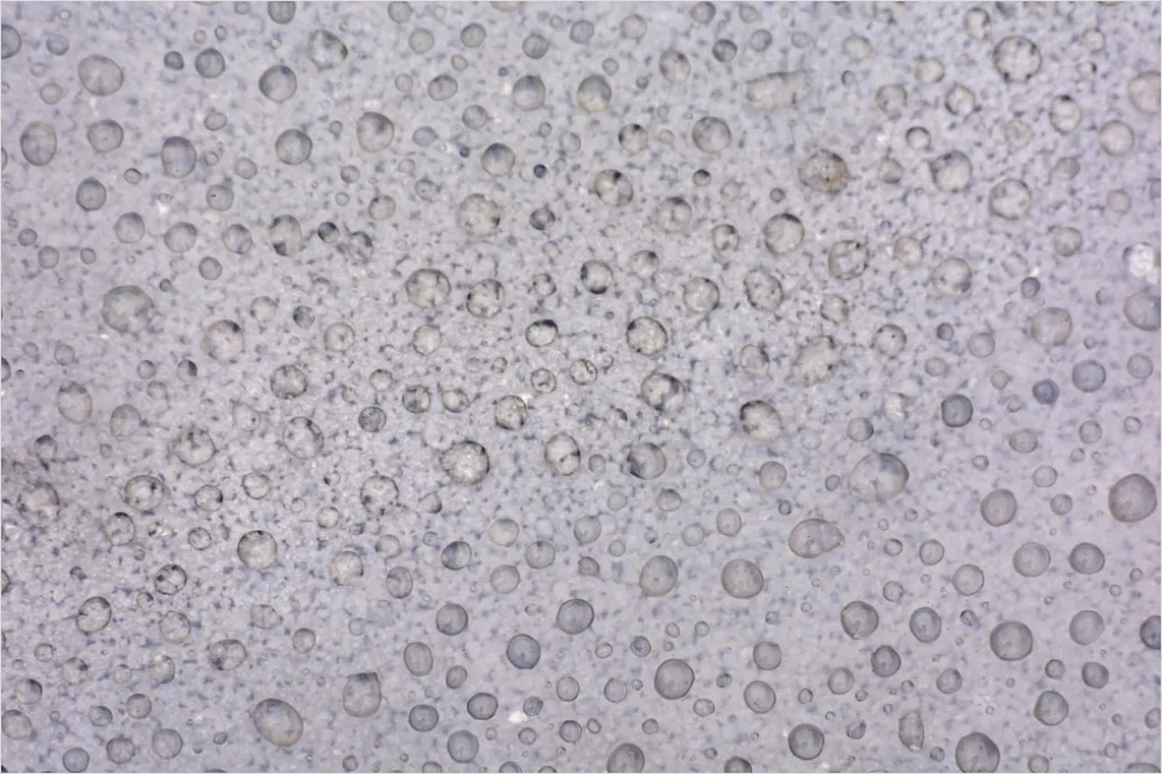 Detail Condensation Droplets Macro Number 13