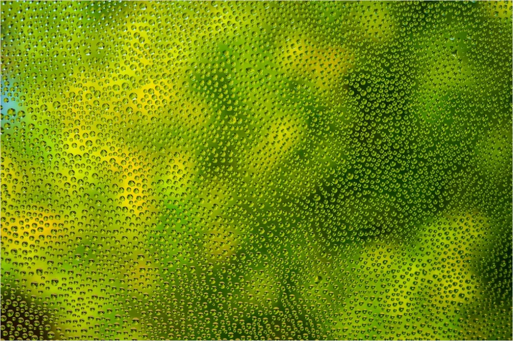 Detail Condensation Droplets Macro Number 15