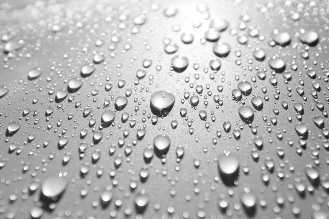 Detail Condensation Droplets Macro Number 16