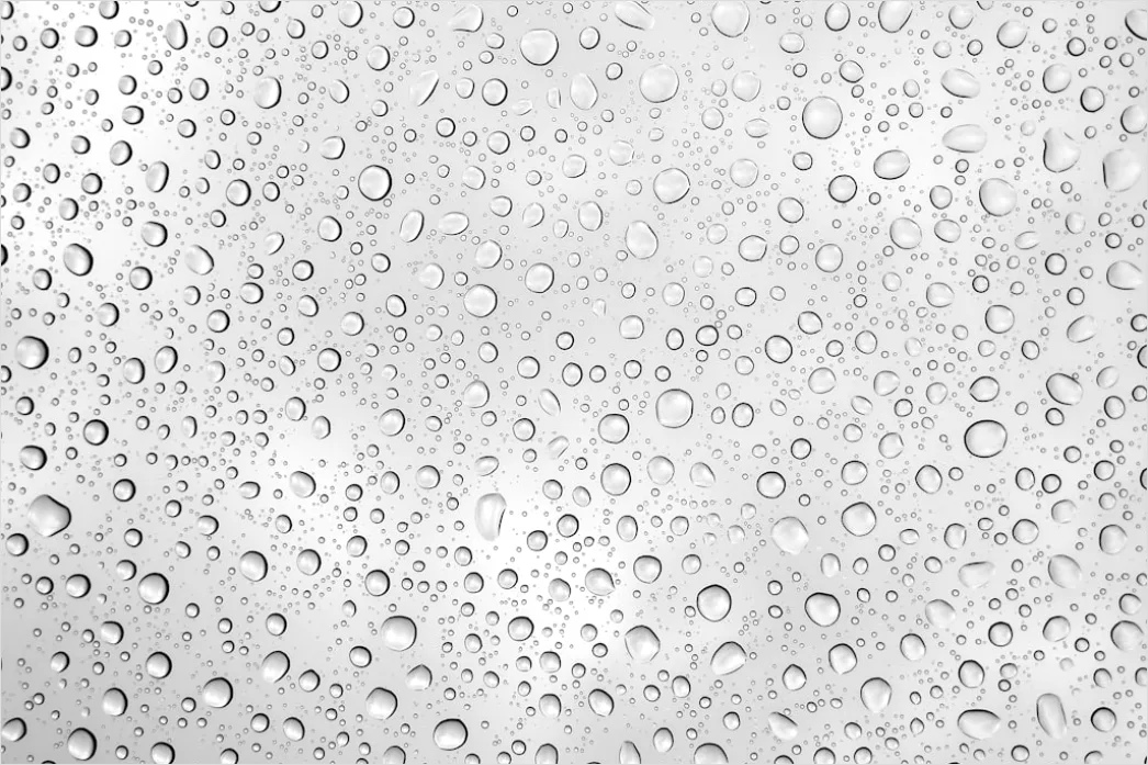 Detail Condensation Droplets Macro Number 18
