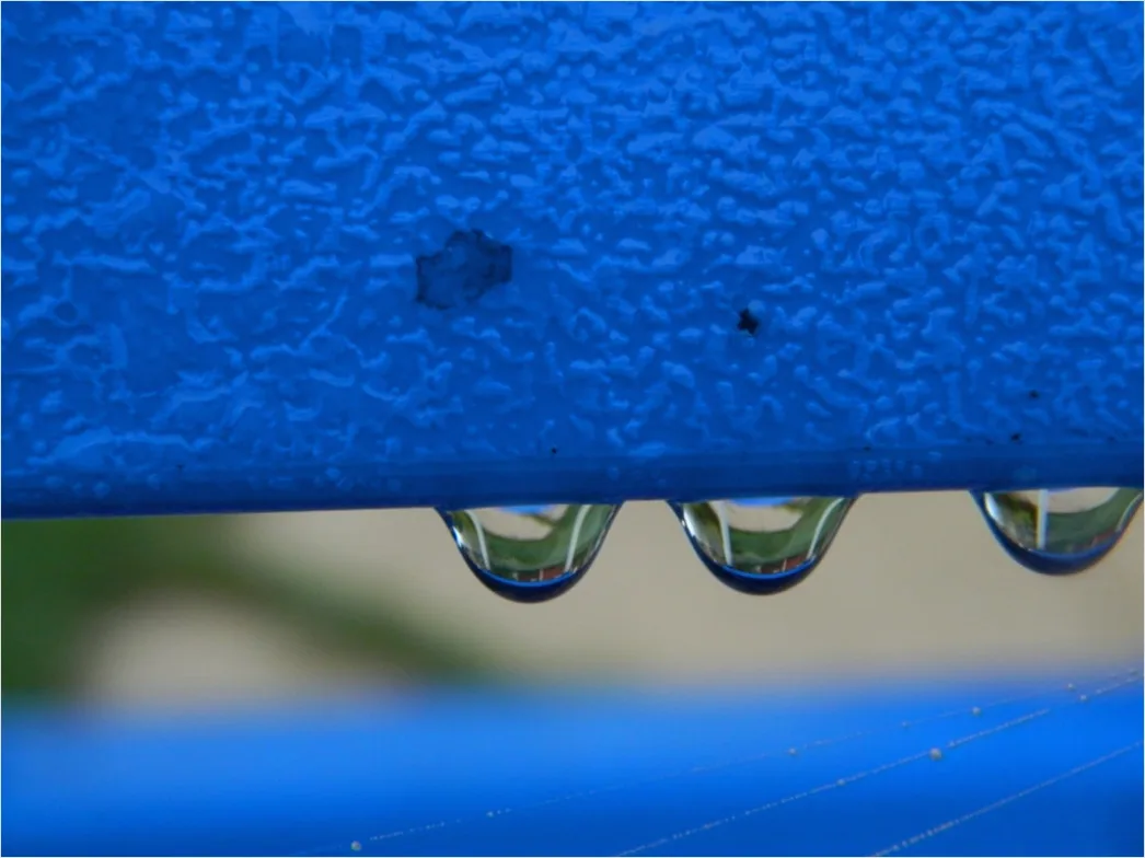 Detail Condensation Droplets Macro Number 19