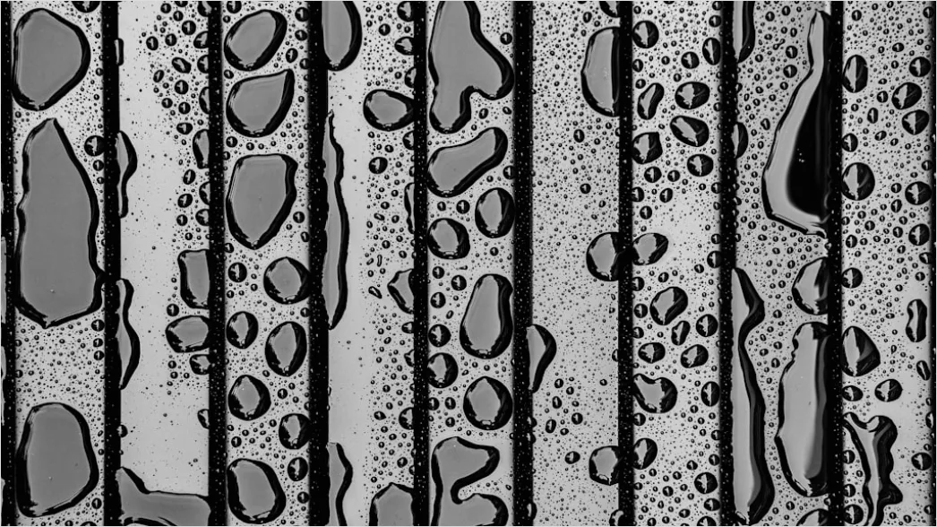 Detail Condensation Droplets Macro Number 4